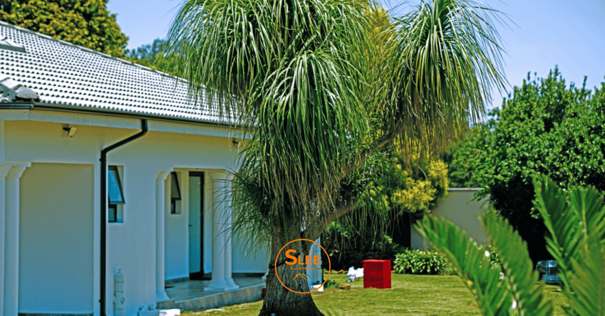 slee Guest House